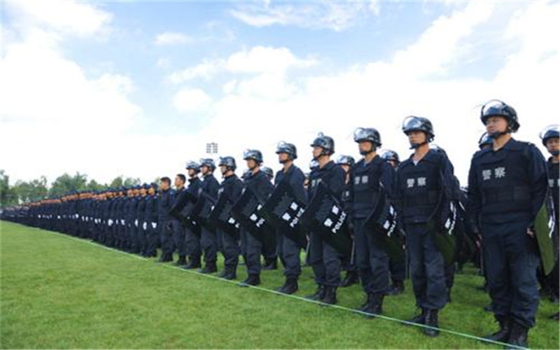 云南司法警官职业学院安全防范技术专业在重庆招生录取分数(物理类)：394分