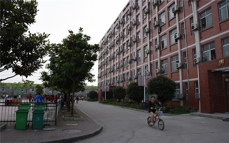 2024考生参考：2023长江艺术工程职业学院移动应用开发专业在河北招生录取分数及录取位次