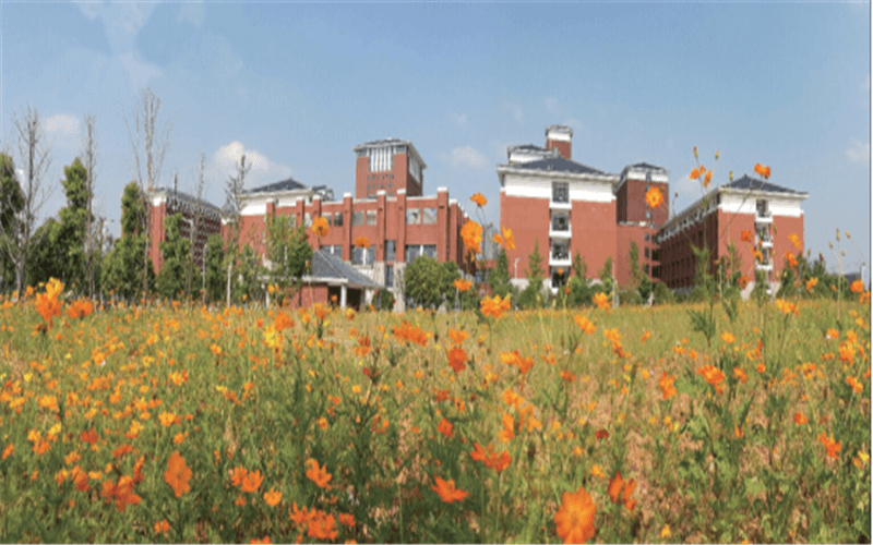 2023年湖南艺术职业学院在湖南招生专业有哪些？学费是多少？