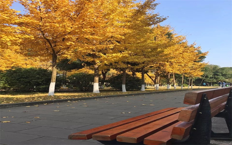 【2022高考】四川华新现代职业学院在重庆各专业录取分数线及选科要求