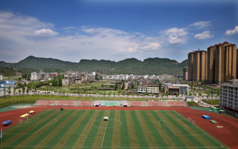 多少分可以上雅安职业技术学院？雅安职业技术学院2021年在贵州各专业录取分数线