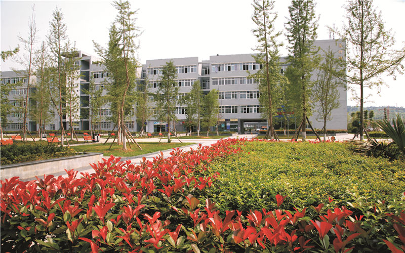 2023年绵阳师范学院在山东录取批次及录取分数参考