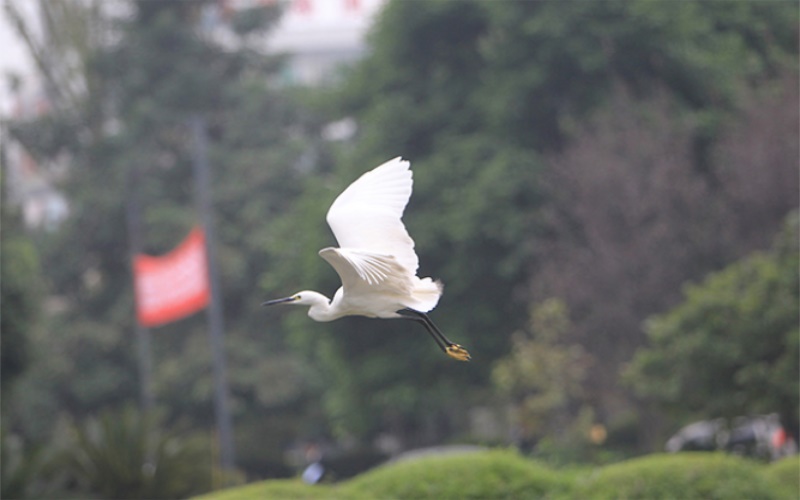 西南石油大学2021年在天津市招生专业及各专业招生计划人数