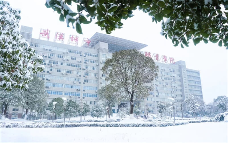 2023年武汉城市职业学院在河南招生专业及招生人数汇总