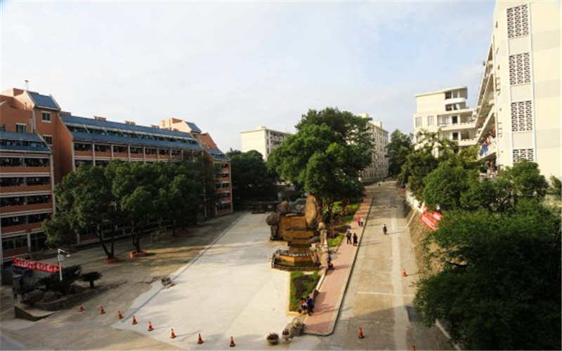 福建幼儿师范高等专科学校青少年工作与管理专业录取分数线【福建高考历史类】