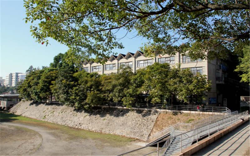 福建幼儿师范高等专科学校特殊教育专业录取分数线【福建高考物理类】