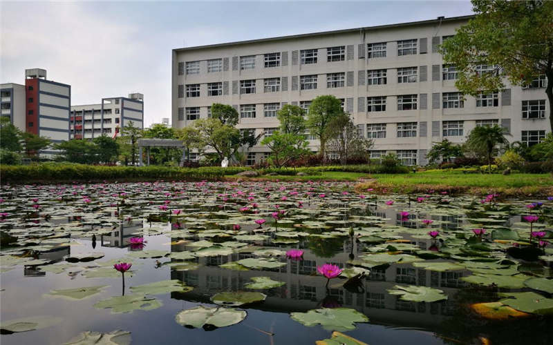 闽江师范高等专科学校导游专业录取分数线【新疆高考文科】