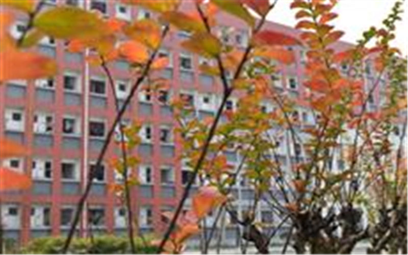 2024考生参考：2023电子科技大学成都学院软件工程专业在辽宁招生录取分数及录取位次
