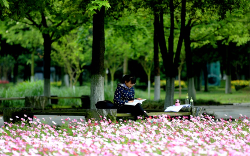 【2023高考参考】成都中医药大学2022年浙江招生专业及招生计划一览表