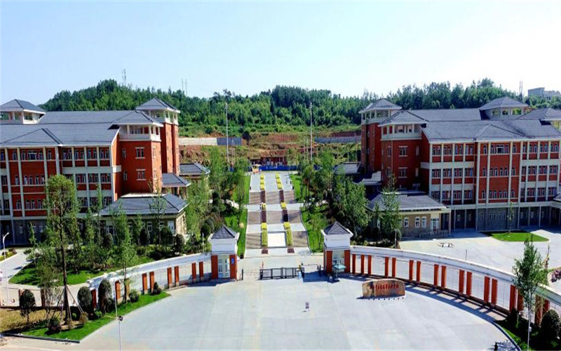 四川中医药高等专科学校针灸推拿专业录取分数线【重庆高考物理类】