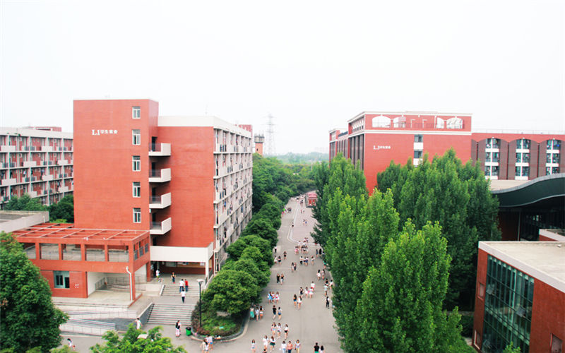2023年西南财经大学天府学院在宁夏招生专业及招生人数汇总