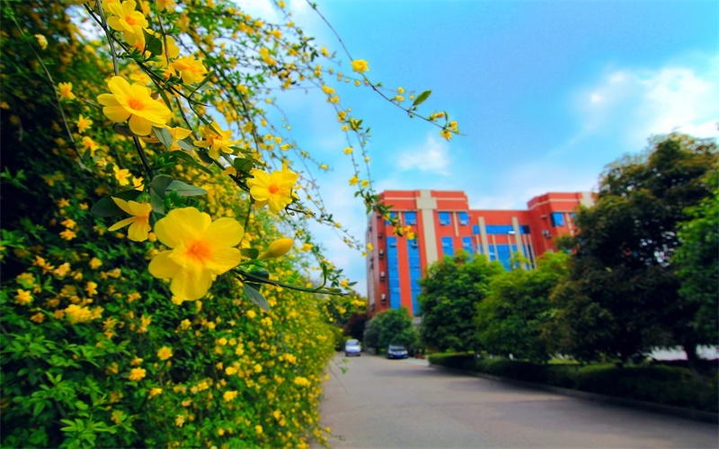2024考生参考：2023川北医学院眼视光学专业在重庆招生录取分数及录取位次