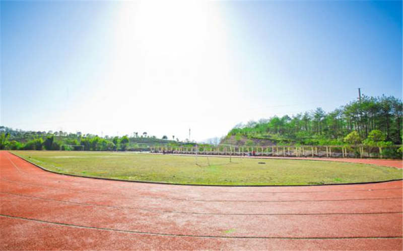 多少分可以上武夷山职业学院？武夷山职业学院2021年在福建各专业录取分数线