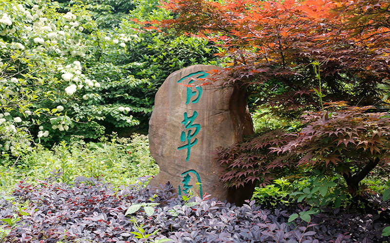 【2023高考参考】淮南职业技术学院2022年四川招生专业及招生计划一览表