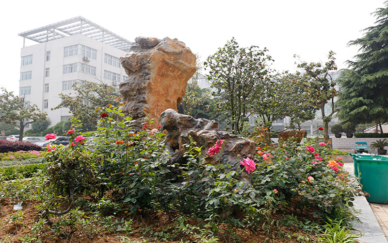 2023年淮南职业技术学院在广东录取批次及录取分数参考