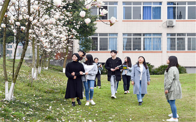 2023年江阳城建职业学院在贵州招生专业及招生人数汇总