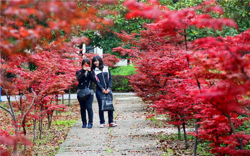 多少分可以上黄冈师范学院？黄冈师范学院2022年在江西各招生专业录取分数汇总