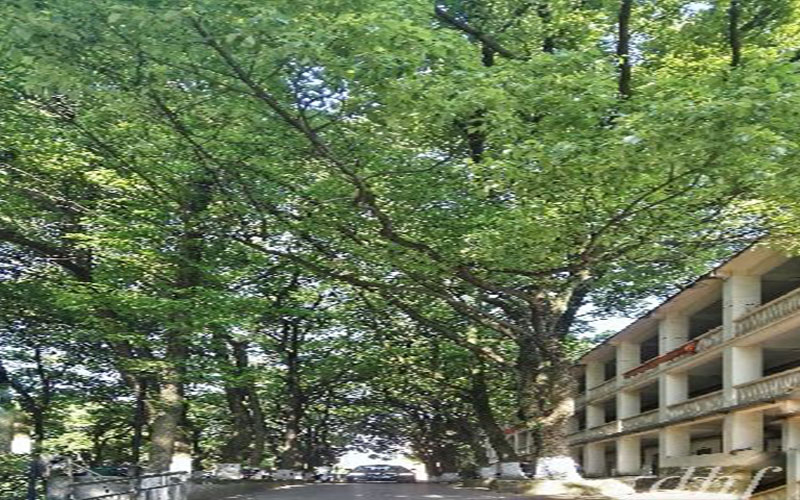 2023年山东考生多少分可以上芜湖职业技术学院人工智能技术应用专业？