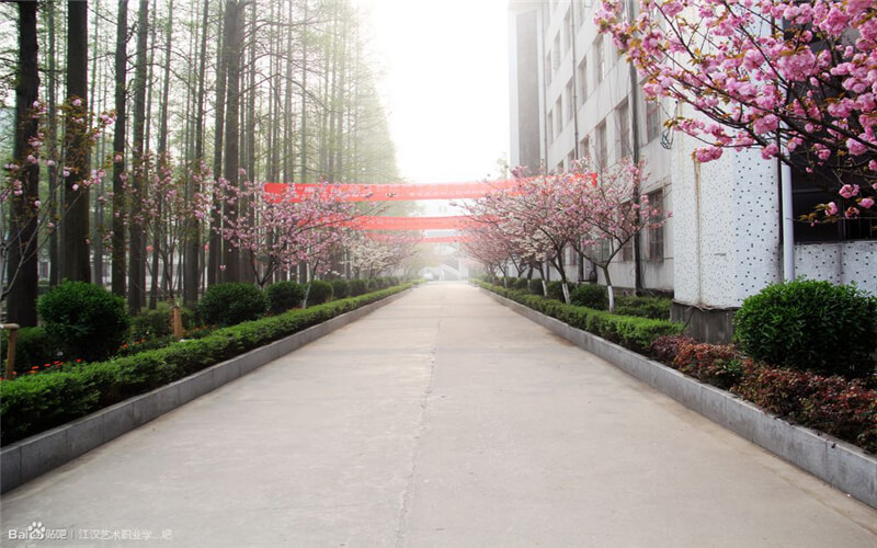 2024年江汉艺术职业学院软件技术专业在河北录取分数线参考