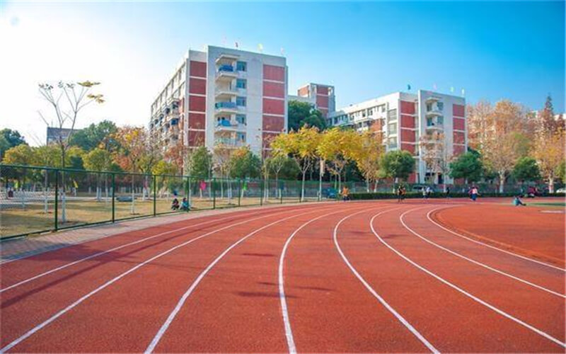2024考生参考：2023武汉外语外事职业学院大数据与会计专业在河北招生录取分数及录取位次