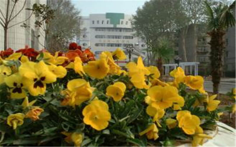 多少分可以上河南工业贸易职业学院？河南工业贸易职业学院2021年在江苏各专业录取分数线
