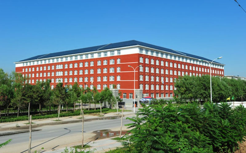 2024考生参考：2023东北大学秦皇岛分校数学类专业在重庆招生录取分数及录取位次