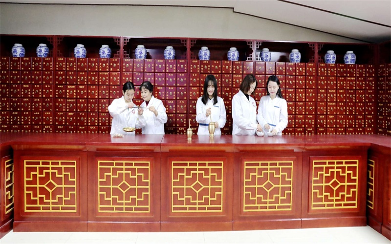 2024考生参考：2023眉山药科职业学院药学专业在重庆招生录取分数及录取位次