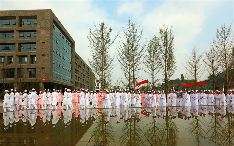 2023年四川卫生康复职业学院在新疆招生专业及招生人数汇总