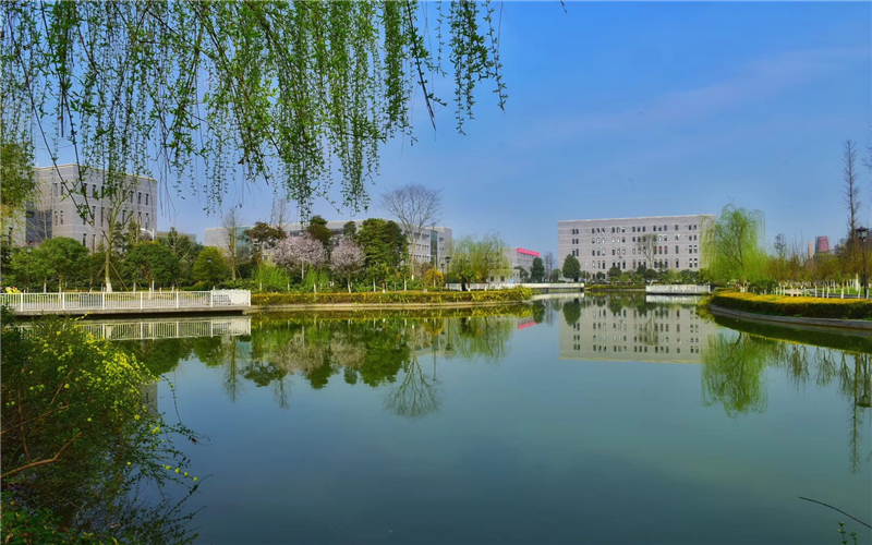 2023年四川天一学院在重庆招生专业及招生人数汇总