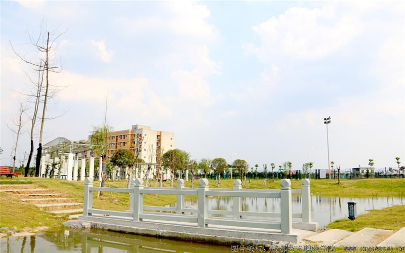 成都艺术职业大学连锁经营与管理专业录取分数线【四川高考理科】