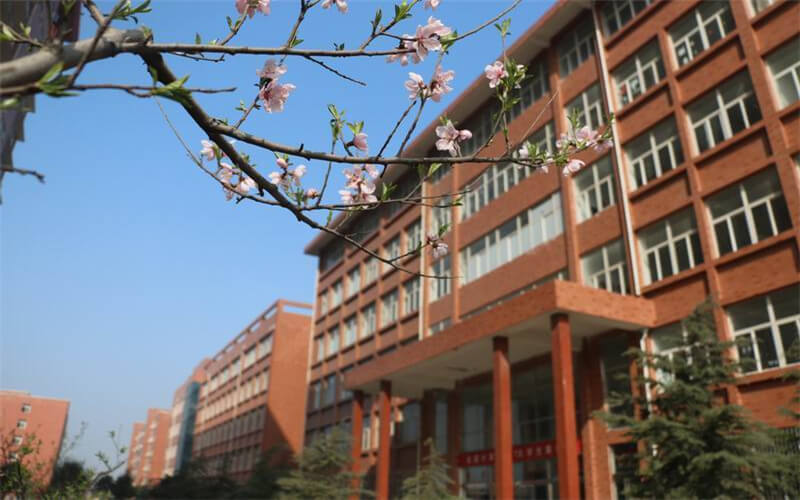 2024年洛阳科技职业学院电子商务专业在山东录取分数线参考