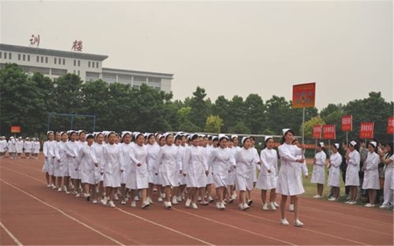 2023年商丘医学高等专科学校在黑龙江招生专业及招生人数汇总