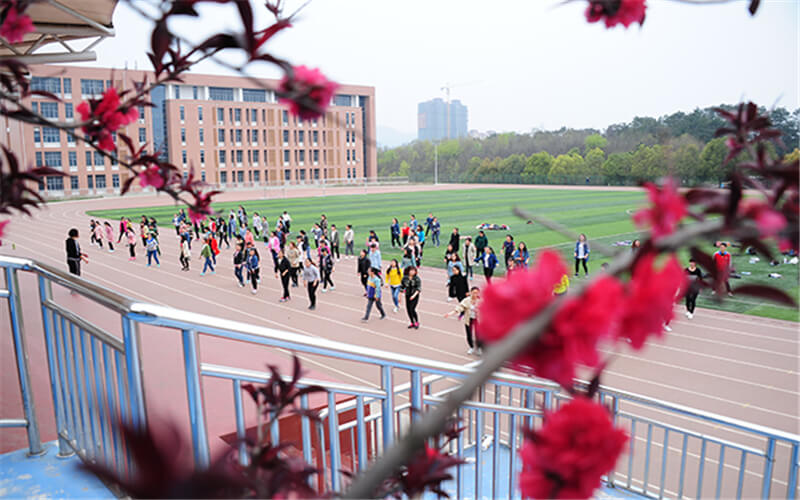 2023年信阳学院在广西招生专业及招生人数汇总