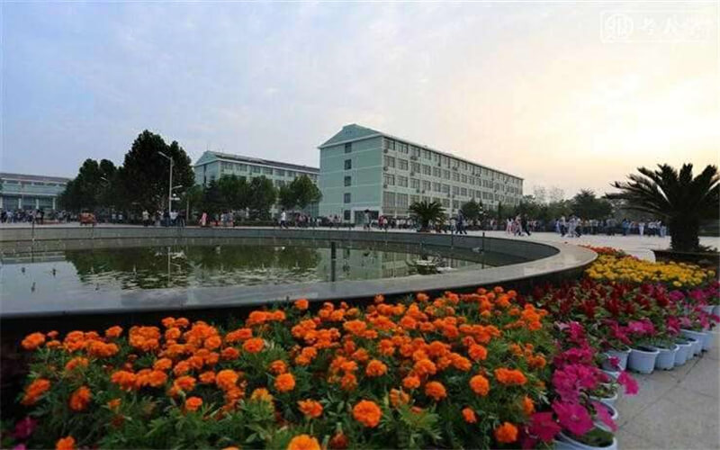 2024年郑州经贸学院信用管理专业在河北录取分数线参考