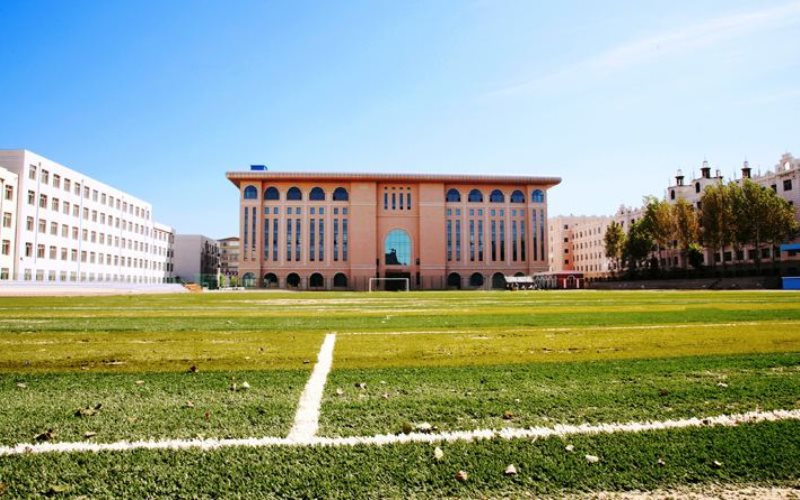 2023年吉林体育学院在河北招生专业及招生人数汇总