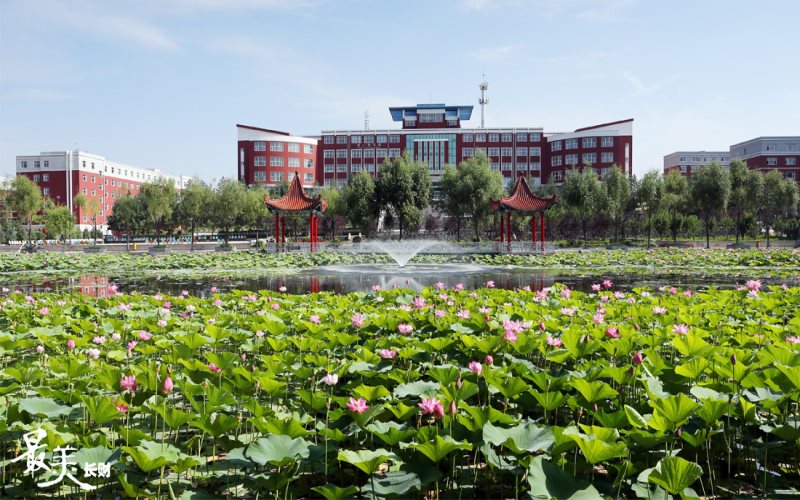 2023年内蒙古考生多少分可以上长春财经学院工商管理专业？