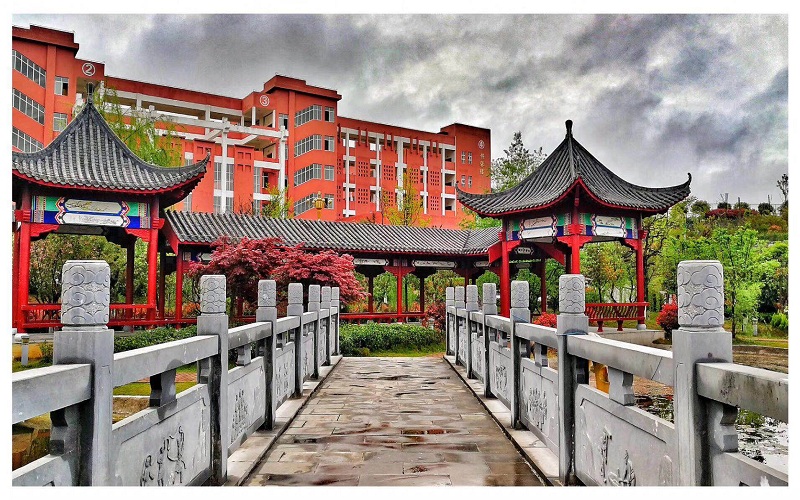 重庆历史类考生排多少名可以上铜仁幼儿师范高等专科学校小学语文教育专业?