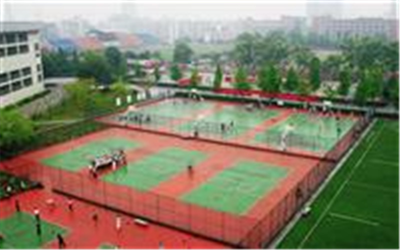 2023年成都体育学院在四川招生专业及招生人数汇总