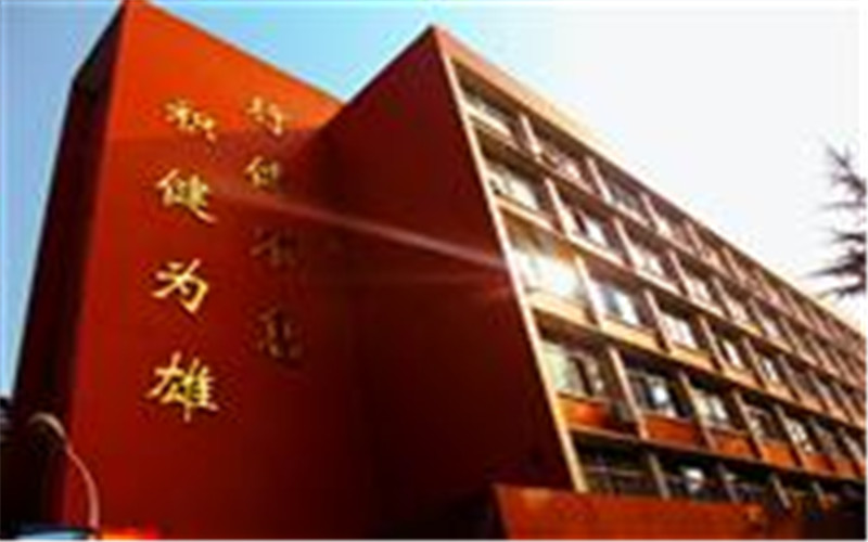 2024考生参考：2023成都体育学院文物与博物馆学专业在山东招生录取分数及录取位次