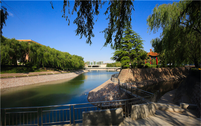 2024年郑州升达经贸管理学院会计学专业在山东录取分数线参考