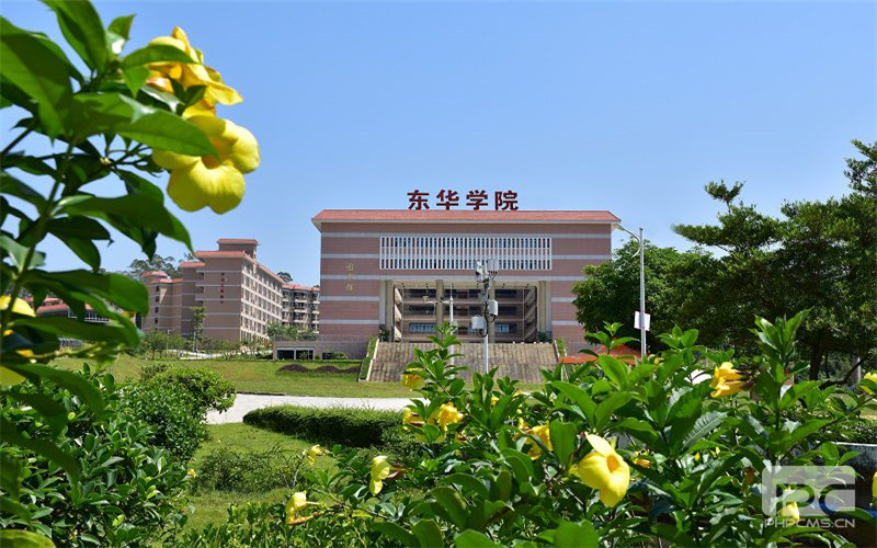 2023年广州东华职业学院在宁夏招生专业及招生人数汇总