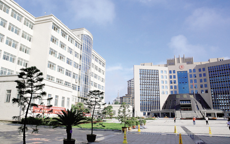 多少分可以上陇南师范高等专科学校？陇南师范高等专科学校2021年在四川各专业录取分数线