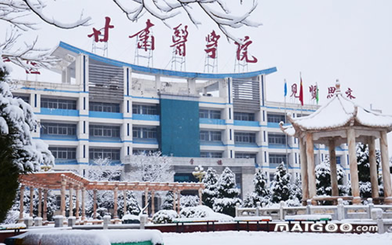 2023年甘肃医学院在陕西招生专业有哪些？学费是多少？