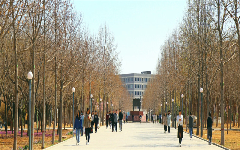 2024考生参考：2023河北农业大学现代科技学院工业设计专业在河北招生录取分数及录取位次