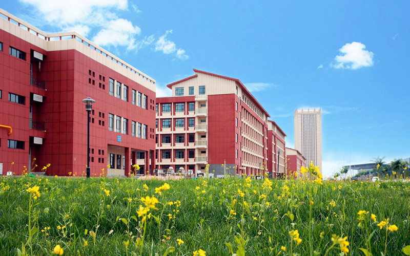 2023年甘肃卫生职业学院在黑龙江招生专业及招生人数汇总