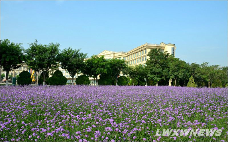 2022年兰州外语职业学院在宁夏招生专业及招生人数汇总（2023考生参考）