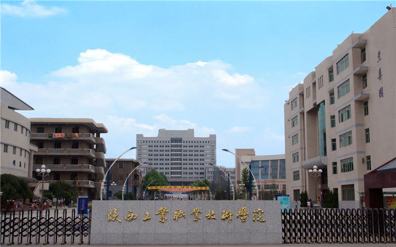 2023年陕西工业职业技术学院在青海招生专业及招生人数汇总