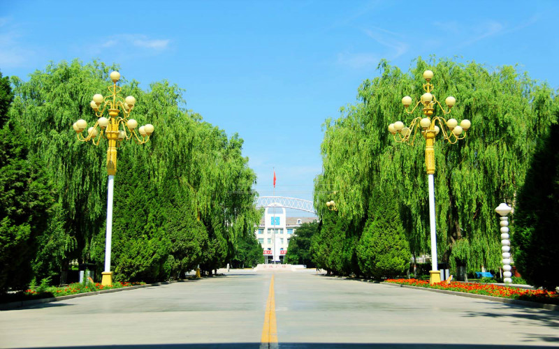 银川能源学院2021年在河南省招生专业及各专业招生计划人数