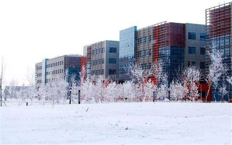 2024考生参考：2023中国石油大学（北京）克拉玛依校区俄语（克拉玛依校区）专业在内蒙古招生录取分数及录取位次