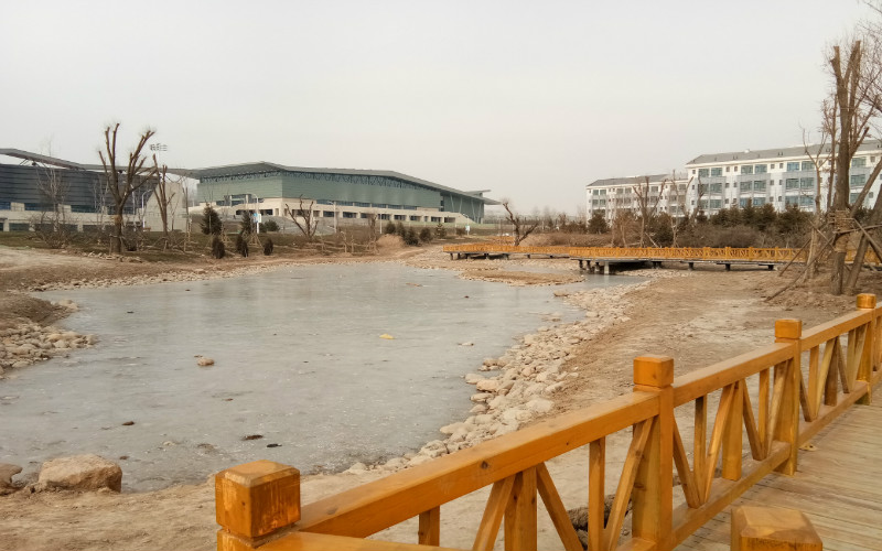 2023年青海师范大学在吉林招生专业有哪些？学费是多少？